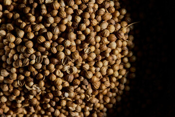 Close-up of Raw Organic Coriander Seeds in Dark Mood with Text Space