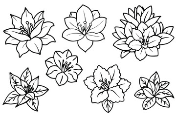 Rhododendron line art illustration Design Concepts