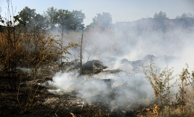 Forest and steppe fires dry completely destroy the fields and steppes during a severe drought....
