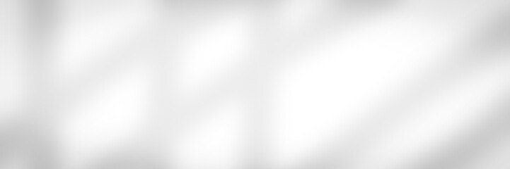 Obraz premium silver satin background