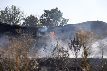 Forest and steppe fires dry completely destroy the fields and steppes during a severe drought....