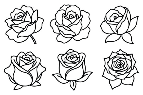 Rose line art illustration Design Concepts
