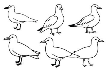 Seagull line art illustration Design Concepts