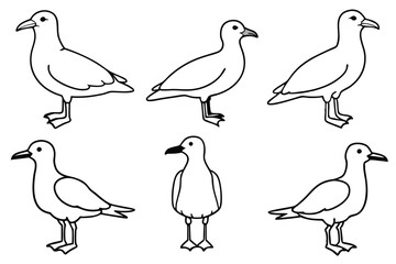 Seagull line art illustration Design Concepts