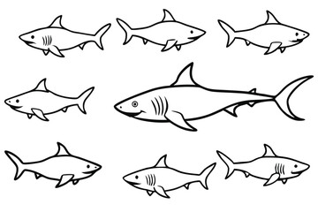 Shark line art illustration Design Concepts