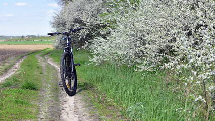Naklejka premium mountain bike stands on a field path with green grass. cycling. Mountain bike. outdoor cycling activities. spring season, good weather. bicycle stands near a flowering tree