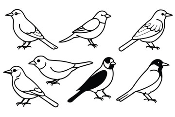 Songbird line art illustration Design Concepts