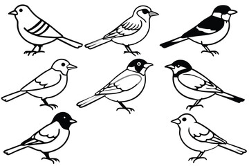 Songbird line art illustration Design Concepts