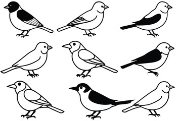 Songbird line art illustration Design Concepts