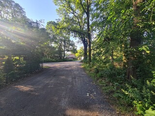 Naklejka premium walking path with sun beam and trees in Berlin Rahnsdorf