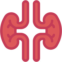 Obraz premium Kidney, Biology, Healthcare and Medical, Organ, Body Part Icon