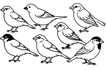 Sparrow line art illustration Design Concepts