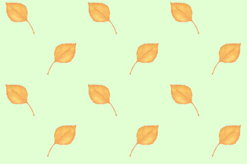 Minimalistic patern of autumn yellow leaves on a light background. Without Borders. Textiles, packaging.