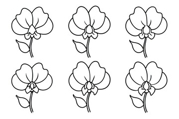 Sweet pea line art illustration Design Concepts