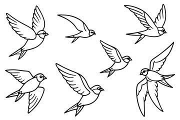 Swift bird line art illustration Design Concepts