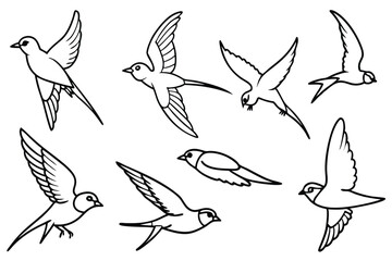 Swift bird line art illustration Design Concepts