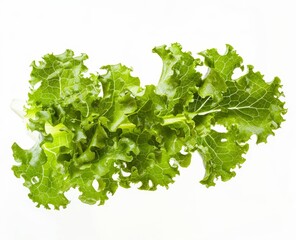 Obraz premium Green Lettuce Leaves on White Background