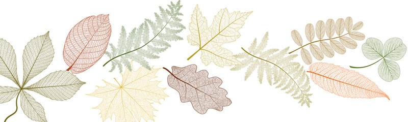 Beautiful background with leaves vein. Vector illustration.