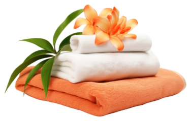 PNG Towel flower plant relaxation.