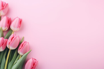  Pink Tulips Laid Flat on a Pink Background