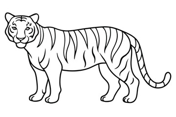 Tiger line art illustration Design Concepts