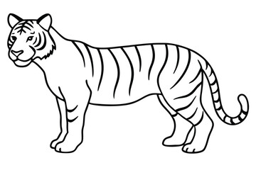 Fototapeta premium Tiger line art illustration Design Concepts