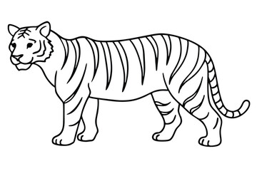Fototapeta premium Tiger line art illustration Design Concepts