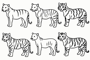 Tiger line art illustration Design Concepts