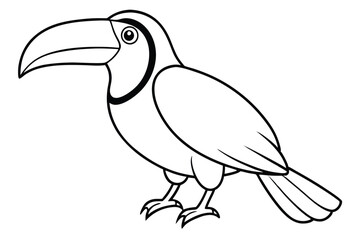 Obraz premium Toucan bird line art illustration Design