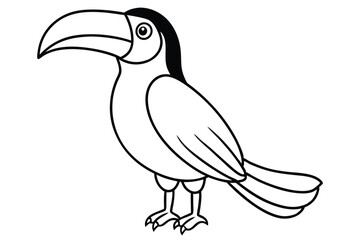 Toucan bird line art illustration Design