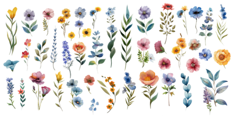 A vibrant collection of watercolor flowers in various shades of blue, pink, yellow, and orange. The flowers are arranged in a simple, elegant fashion, creating a beautiful and delicate image.