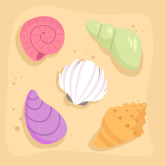 Set of cute sea shells. Collection of shells on sea beach sand