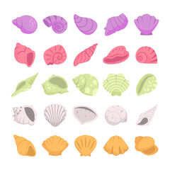 Set of cute sea shells. Collection of shells on white background