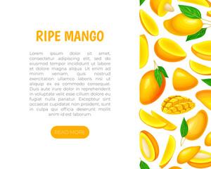 Fresh Mango Banner Design with Bright Tropical Food Vector Template