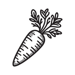 Outline Vector of a Carrot