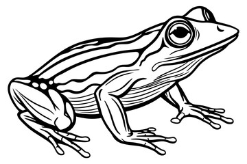 A coloring page of an  FROG  with  black lines,Happy Frog