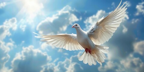 , A white dove flying in blue  sky