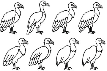 Obraz premium Vulture bird line art illustration