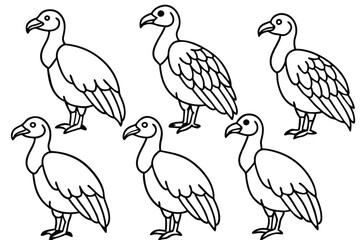Vulture bird line art illustration