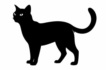 Cat black silhouette