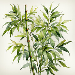 Watercolor Bamboo, clipart Illustration, Generative Ai