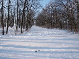 Frosty morning in the forest. Snow covered road