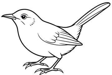 Wren bird line art illustration Design Concepts