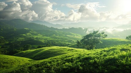 Obraz premium Green environment landscape