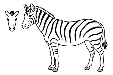 Zebra line art illustration Design