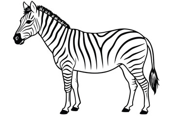 Zebra line art illustration Design