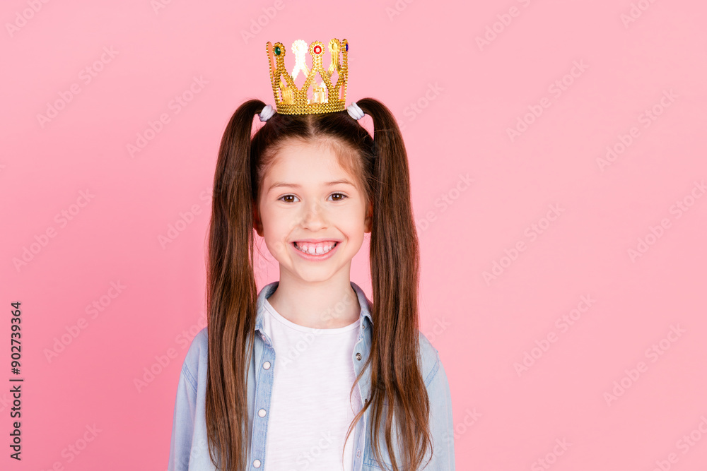 Sticker Photo of adorable cheerful small girl with long ponytails dressed denim shirt wear crown toothy smiling isolated on pink color background