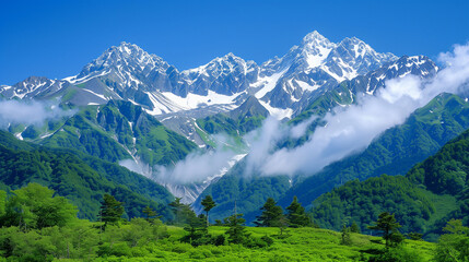 Fototapeta premium alps japan 