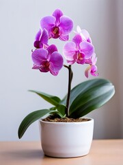 A bright blooming purple orchid with a delicate structure, in a white pot on a slightly blurred background. AI generated.