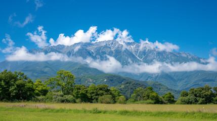 Fototapeta premium Mountain View